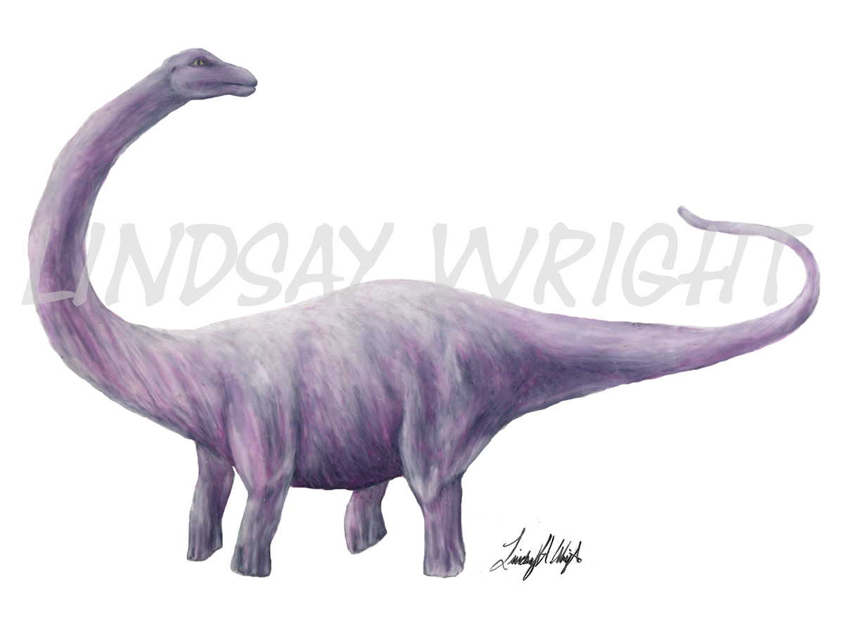 Brontosoaurus