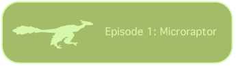 Episode 1: Microraptor