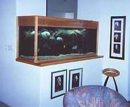 Fish Tank