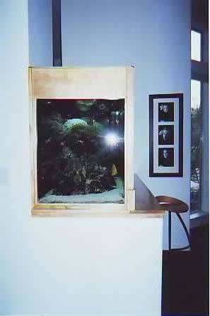 Fish Tank