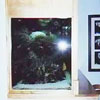 Fish Tank 1