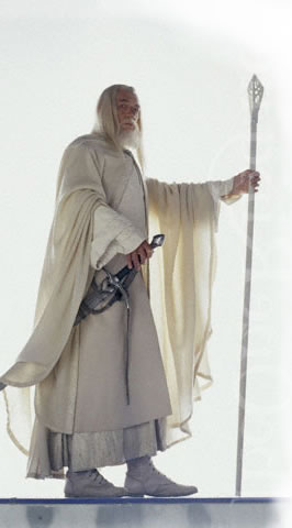 Gandalf with his staff